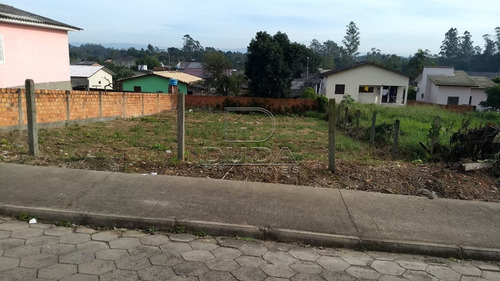 Imagem 3 de 4 de Terreno - Vila Nova - Ref: 29087 - V-29085