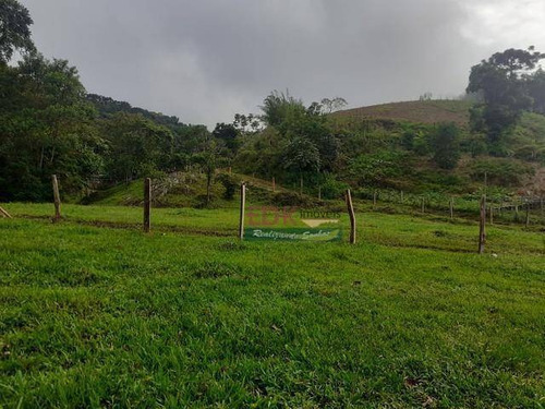 Imagem 1 de 3 de Chácara À Venda, 6000 M² Por R$ 430.000,00 - Zona Rural - Santo Antônio Do Pinhal/sp - Ch0652