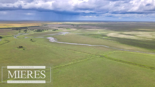 Campo En Rocha Ganadero Agrícola 125ha (ref: Atm-7988)