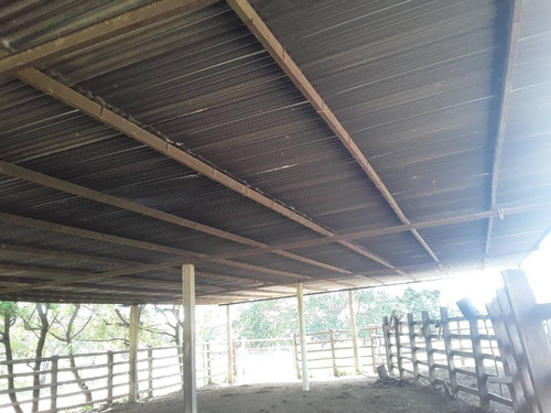 Imagen 17 de 30 de Se Vende Finca Agropecuaria De 300 Hectareas En Guarico Altagracia De Orituco Att-120