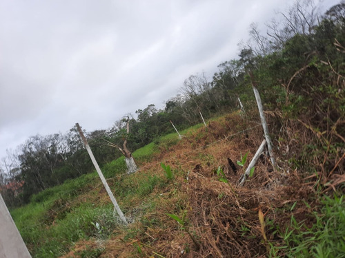 Imagem 2 de 4 de Lote De Esquina Em Itanhaém-sp Litoral Sul