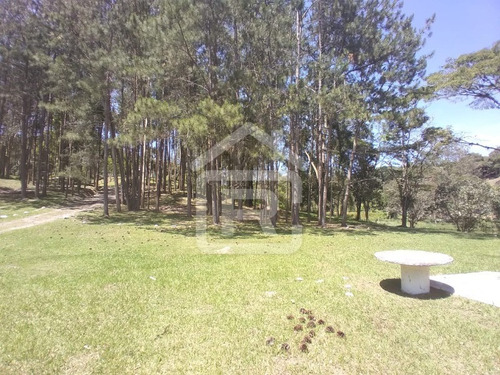 Imagem 13 de 30 de Lindo Sítio Em Juquitiba Com Imenso Lago, Piscina, Nascentes - 92 - 70323419