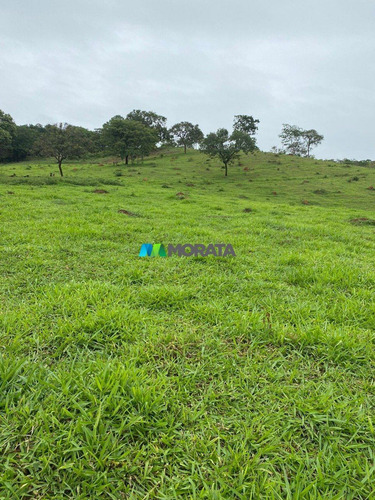 Imagem 4 de 15 de Fazenda - Zona Rural - Ref: 5534 - V-mta5534