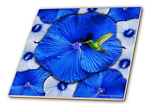 3drose Colibrí E Hibisco Azul Oscuro - Azulejo De Cerámica