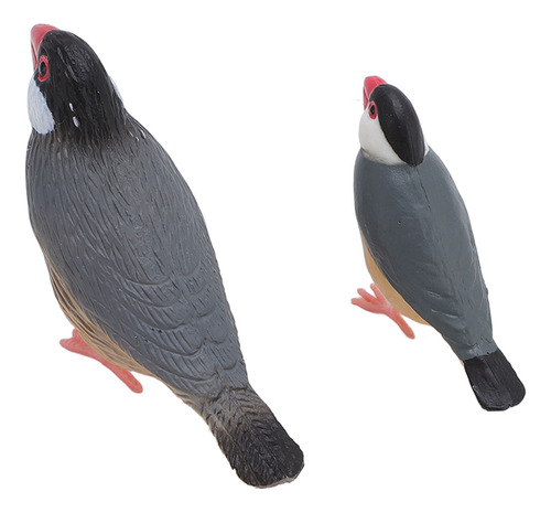 Juego De Modelos De Aves, Juguete Para Incubar Con Ciclo De