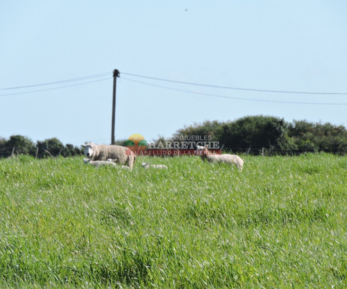 Campo En Venta 18 Has Canelones, Con Todas Las Instalaciones!