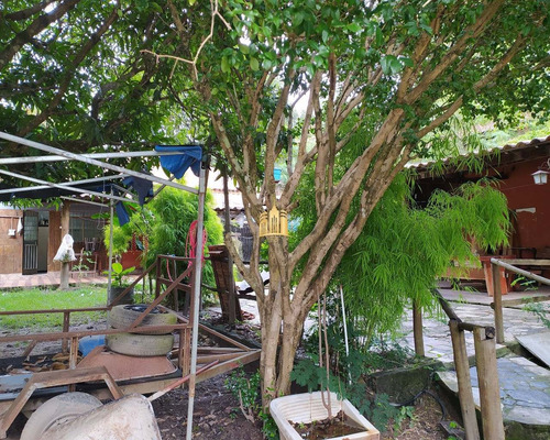 Imagem 16 de 30 de Sitio Em Esmeraldas - St00116 - 69241283