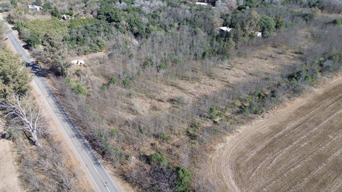 1 Hectarea Sobre Ruta E56, Anisacate