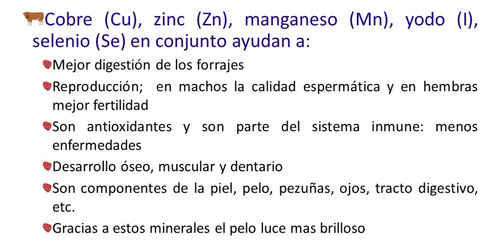Sales Minerales Y Vitaminas Para Ganado Bovino - 45 Kg