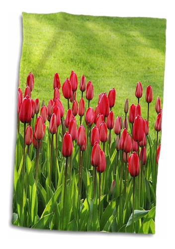 Toalla De Mano 3d Rose Red Tulips Field, 15 X 22, Multi...