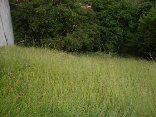 Imagem 2 de 8 de Terreno À Venda, 940 M² Por R$ 900.000,00 - Dos Casa - São Bernardo Do Campo/sp - Te0010