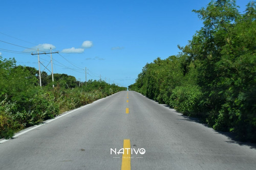 Imagen 16 de 30 de Terreno En Venta En Yucatan A 9 Min De La Playa Telchac Nati