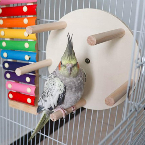 Parrot Cage Perches Stand Birds De Madera Para Budgie