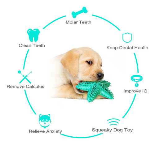 Nuevo Brinquedo Para Cachorro Com Som Flutuante, Molares,