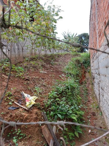 Imagem 7 de 8 de Terreno - Te97528 - 34385161