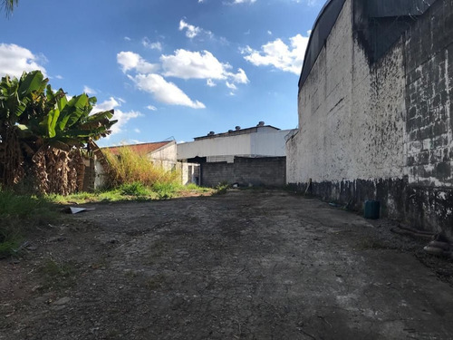 Imagem 2 de 8 de 197 -terreno No Bairro Do Butantã Para Venda 550m²