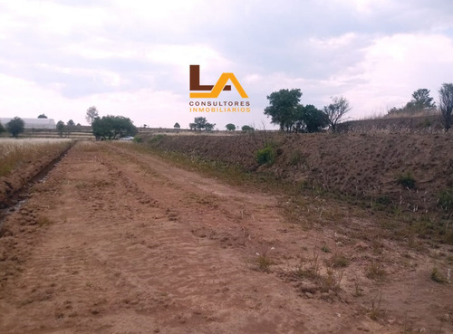 Imagen 6 de 10 de Terreno En Rustico En Venta En San Lucas Cuahutelulpan