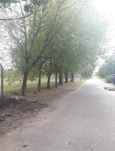 Imagen 11 de 14 de Venta De Lotes En Longchamps Oportunidad