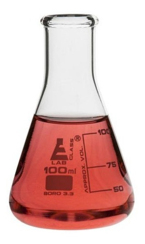 Matraz Erlenmeyer 100ml Eisco