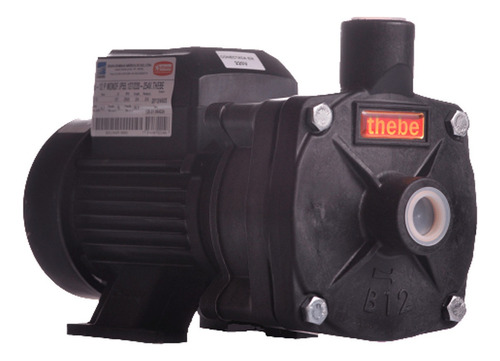 Bomba Centrífuga Thebe B-12 P 1/2 Cv Monofásica 110v 220v Cor Preto Frequência 60Hz 110V/220V