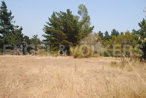 Terreno En Algarrobo