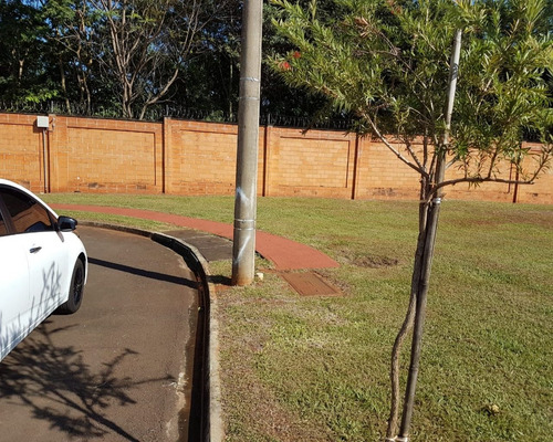 Imagem 6 de 6 de Terreno Com 397 M² No Condomínio Quinta Da Primavera - Praça Das Árvores - Te00262 - 69491262
