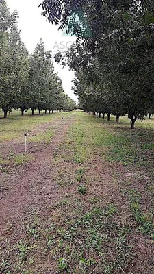 Rancho en venta