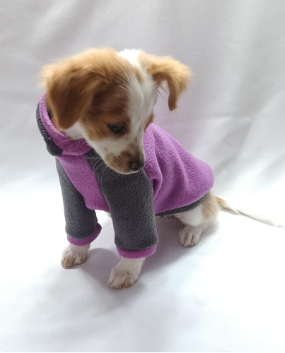 Imagen 2 de 10 de Buzo Polar Perros Cachorros Micro Toy Pincher