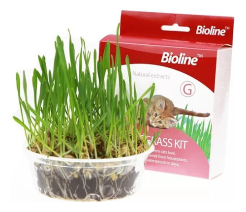 Bioline Kit Cat Grass, Pasto Para Gatos 12g