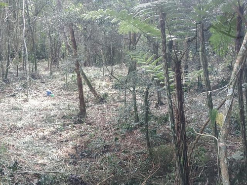 Imagem 6 de 6 de Cód 5570 - Terreno De 1.184 M² Dentro De Condomínio Fechado. - 5570