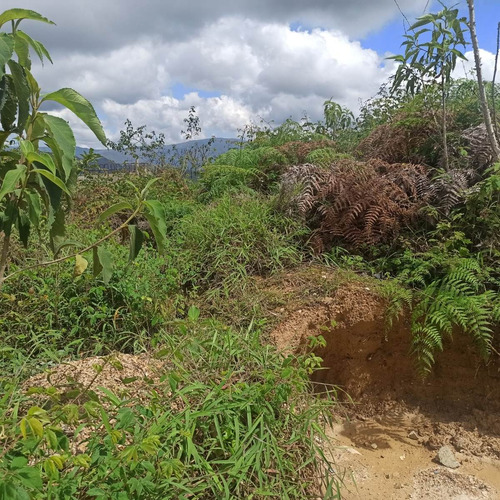 Imagen 12 de 17 de Espectacular Terreno En Venta Para La Construcción De Casa Residencial Club De Campo, Una De Las Mejores Urbanizaciones De Los Altos Mirandinos 23-2939