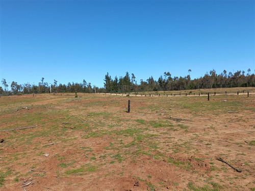 Agrícola En Venta En Navidad