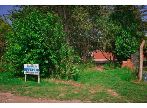 Terreno - Barrio Los Pinos 2 - Calle 48 - 400 M2