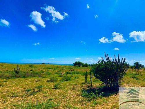 Imagem 2 de 3 de Terreno Beira Mar A Venda São Miguel Do Gostoso