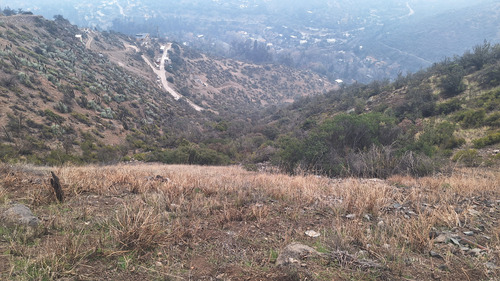 Gran Sitio En El Arrayan