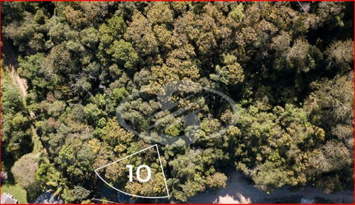 Terreno Pilar Do Sul