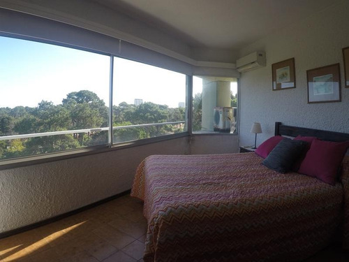 Departamento - Roosevelt