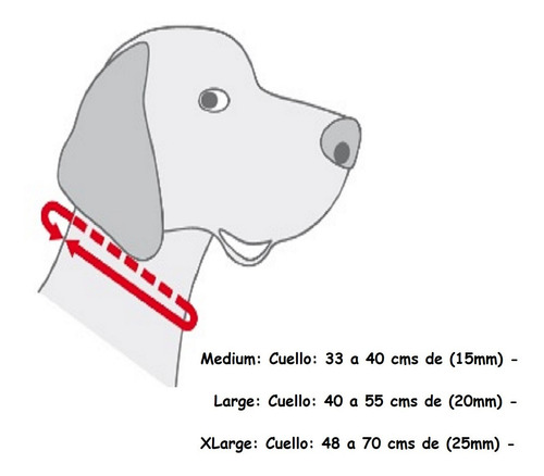 Imagen 4 de 7 de Collares Para Perros Classic Line Confort Calidad