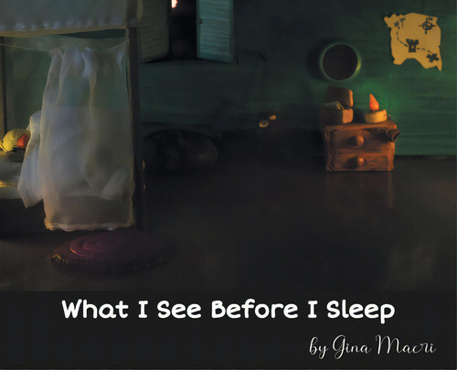 What I See Before I Sleep, De Macri, Gina. Editorial Friesenpr, Tapa Dura En Inglés