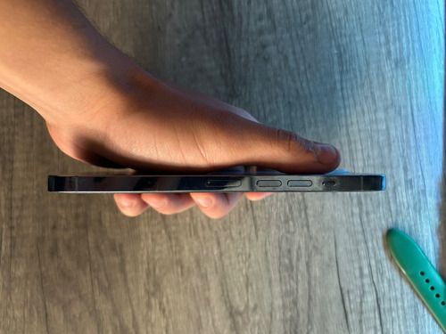 iPhone 13 Pro Max (Usado)