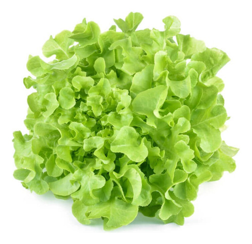 Semillas De Lechuga Green Salad Bowl