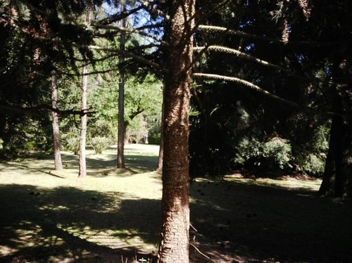 Imagen 2 de 2 de Lote En Venta Gran Arboleda Club De Campo El Moro Marcos Paz