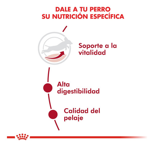 Alimento Royal Canin Perro Medium Senior +7 Medianos X 15kg