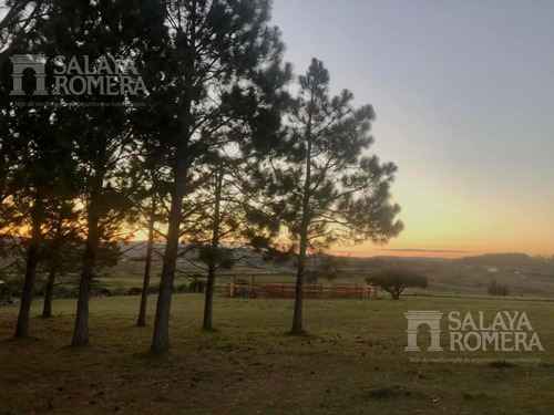Imagen 2 de 30 de Venta 10 Ha, 3 Viviendas, Buen Potencial Turístico, Pueblo Eden, Punta Del Este Sch4818860