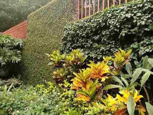 Imagen 25 de 29 de Venta De Casa De Un Nivel En Lomas De Vista Hermosa En Cuernavaca