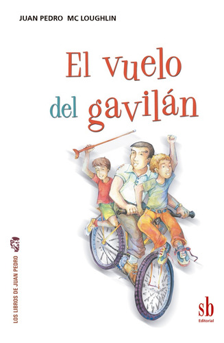 El Vuelo Del Gavilán, De Juan Pedro Mcloughlin. Editorial Editorial Sb, Tapa Blanda, Edición 1 En Español