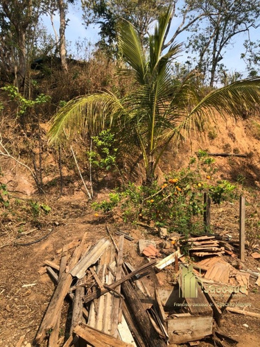 Imagem 4 de 15 de Chácara A Venda No Bairro Conselheiro Paulino Em Nova - 1514-1