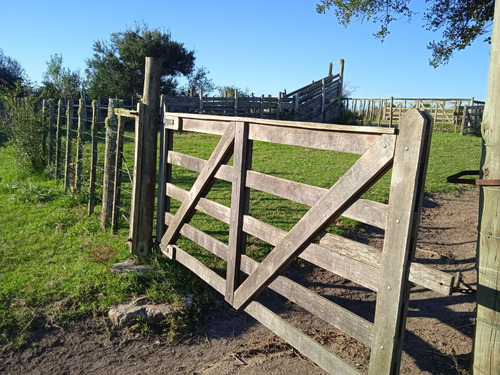 Campo Con Casa A Reparar, Instalaciones