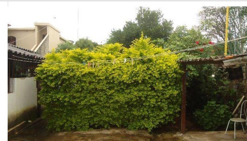 Casa Com 2 Quartos Para Comprar No Betânia Em Belo Horizonte/mg - 1523