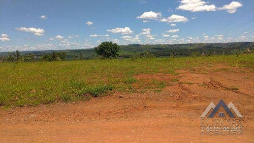 Imagem 10 de 17 de Chácara À Venda, 10000 M² Por R$ 255.000,00 - Nosso Recanto - Londrina/pr - Ch0207